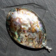 Abalon Shell stříbrný přívěsek
