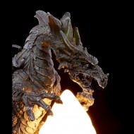 Dračí lampa (52)