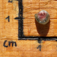 Turmalín melounový 