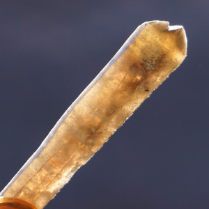 Záhněda tantrické dvojče